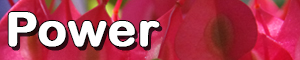 Volume 6 Power